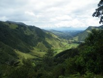 Valle de Cocora, Colombie